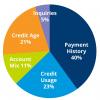 Credit Basics: How credit scores, credit cards, and borrowing work in the U.S. 