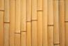 How a Grass Outsmarts Hardwood: The Science Behind Bamboo’s Surprising Strength and Fire Resistance