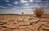 CJID expands support for environmental and climate journalism in West Africa