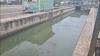 Heavy Sargassum Buildup Along Belize City Seawall Raises Concerns