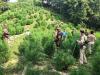 World News | Nepal's Gandaki Province Assembly Unanimously Passes Bill to Legalise Marijuana Cultivation for Medicinal, Industrial Use