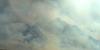 Colorado BHA offers free mental health resources to wildfire victims