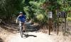 News Digest: Fire mitigation at Augustin Bernal Park | Blood center running low on supply | Pleasanton North Rotary names new board president