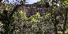 Police 'flabbergasted' after finding out what one man has been doing in an Arizona forest for 8 years