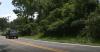 Howard County business owner wants more done with vegetation by power lines