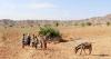 Action Against Hunger and the IGAD Climate Prediction and Applications Centre (ICPAC) Launch Landmark ECHO-Funded Initiative to Build Anticipatory Action Systems Across the Greater Horn of Africa