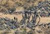 Mozambicans, Zimbabweans and Basotho in court after Gauteng illegal mining blitz