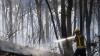 Twelve die in wildfire in Spain as heatwave continues in southern Europe