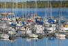 United States Coast Guard launches the 2026 National Recreational Boating Safety Survey