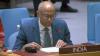 'Sexual Violence Continues To Be Used As A Means Of War, Terrorism': India At UN