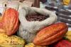 Colombian Cocoa Exports to the United States Have Tripled in Two Years