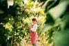 How midsummer wild berries connect people, wildlife, and West Virginia’s forests