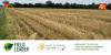 Wheat Straw & Cover Crops