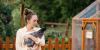 New to backyard hens? Rapid City chicken classes offered Friday and Saturday