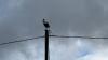 Weather to shift sharply in Latvia as warmer air returns after a cool spell