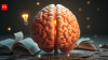 Russian proverb of the day: Why "If there's a brain, there'll be a ruble" teaches that knowledge is the greatest wealth