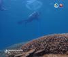 Zambales strengthens marine conservation with expanded protected area network