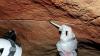 For The First Time, Ancient Human DNA Has Been Found Preserved on Cave Walls