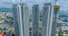 Punjab &amp; Haryana HC restrains Oberoi Realty from fresh allotments in Gurugram project till DTCP ruling