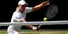 Fery keeps Wimbledon dream alive after reaching historic semi-final