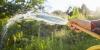Five million more Britons now hit with hosepipe ban as nation swelters in summer heatwave
