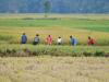 Business News | Weak Monsoon May Weigh on Rural Demand, Credit Growth in Coming Months: S&P Global Ratings