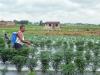 Business News | Agrochemical Exporters to Outperform Domestic Peers Amid Muted Q1FY27 Earnings: Report
