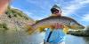 I left Maine to see if this famous trout river lived up to the hype