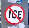 ICE arrested a green-card holder while she was gardening and kept her for a year