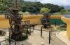 Seoul Grand Park reopens Japanese macaque habitat with nature-based redesign