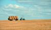 Extreme Heat Takes Farming to the Brink