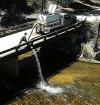 Idaho releases a million kokanee