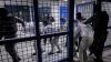 Israeli jails a ‘graveyard,’ says freed Palestinian journalist following decline in health