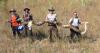 Florida offers up to $10,000 for capturing invasive pythons: the challenge begins this Friday