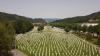 Ten More to be Buried as Bosnia Marks Srebrenica Genocide Anniversary