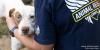 ‘Mass rescue’: Dozens of dogs brought to Middle TN after Arkansas shelter becomes overhwhelmed