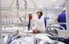 Norway expects trade pact breakthrough to boost seafood exports to Vietnam