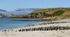 SAERI launches new research projects across the Falklands and South Atlantic