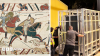 Bayeux Tapestry arrives in UK for first time in 900 years under police guard