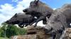 See what makes Fayetteville, Arkansas, a magnetic travel destination