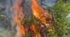 Arson carries up to 15 years in prison