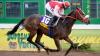 What’s in a name? The art and superstition of naming race horses