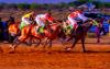 Horse racing federation targets nationwide expansion, anti-doping reforms – Coordinator