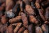 Cocoa Prices Climb to Six-Month Peak as West Africa Faces Fresh Supply Threats