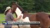 Local non-profit works with re-entry center residents to provide equine therapy