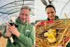 Family farm offering reduced ticket prices to minimise cost of summer days out