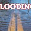 Flash flooding emergency in southern Missouri