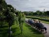 Record visitors, record taxes: Vienna cashes in on tourist boom