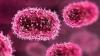 Gujarat's Chandipura virus return puts health teams on alert