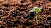The Seed Sector 2045: Climate Adaptation Becomes Breeding’s New Baseline